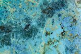 Polished Blue River Chrysocolla Slice - Arizona #167537-1